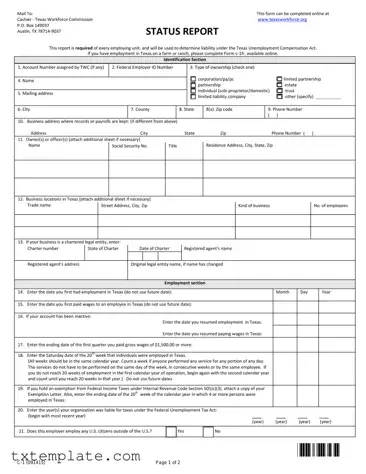 Download Texas Workforce Commission Report Template