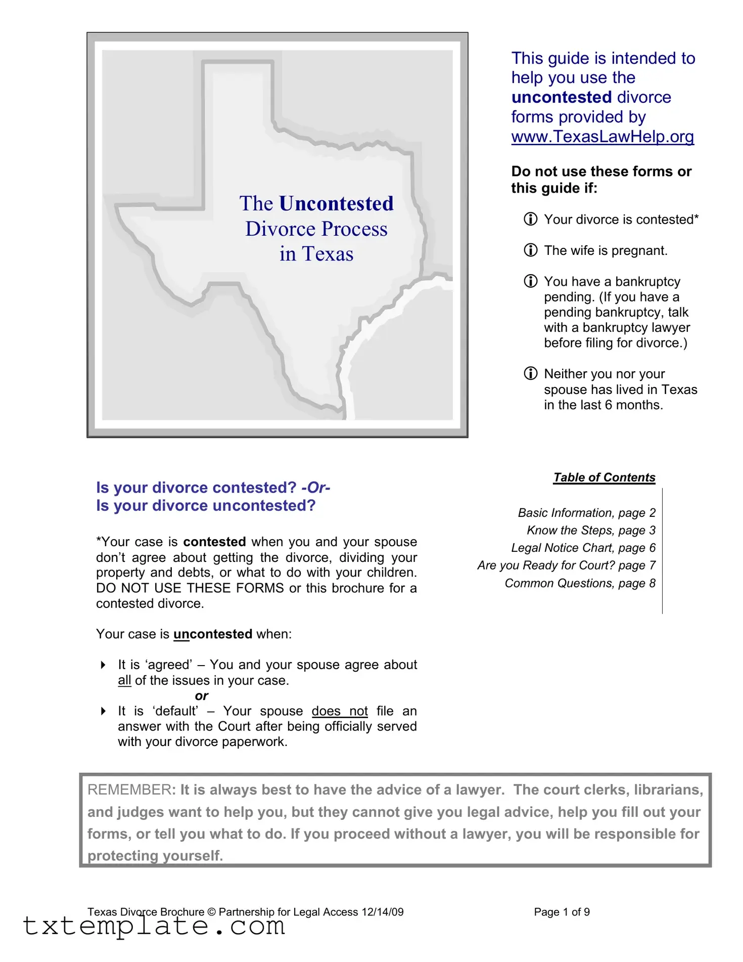 Download Texas Divorce Template